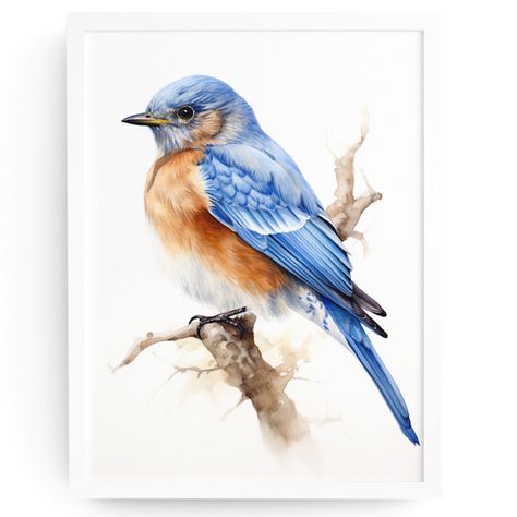 Watercolor Eastern Bluebird Wall Art Illustration Print Poster Unframed Perfect As Gifts For Family And Friends! This Is An Original Artwork Printed On Thick Premium Grade Matte Photo Paper. Vibrant, Crisp, And Vivid Image. Sizes Available: 11x14, 8x10, And 5x7 Fast Shipping! Blue Bird Artwork, Blue Birds Painting, Watercolor Blue Bird, Blue Bird Watercolor Painting, Bluebird Watercolor Paintings, Watercolor Bluejay, Bluebird Painting, Watercolour Birds, Birds Watercolor