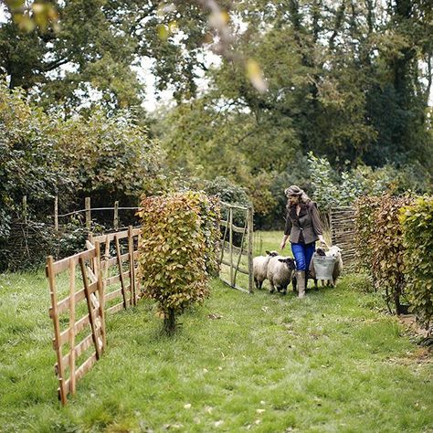 Road Aesthetic, Aesthetic Road, Future Farms, Country Living Magazine, Farms Living, Down On The Farm, Hobby Farms, Country Farm, Living Magazine