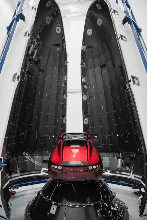 Space X Elon Musk, Elon Musk Spacex, Earth People, Spacex Rocket, Elon Musk Tesla, Spacex Launch, Falcon Heavy, Space X, Tesla Roadster