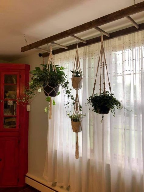 Curtains With Plants, Hanging Plant Rack Indoor, Hanging Plant Bar Window, Plant Window Hanging Ideas, Hanging Ladder For Plants, Bay Window Ideas Living Room Plants, Indoor Window Shelves For Plants, Plant Hanging Ideas Window, Bay Window Ideas Plants