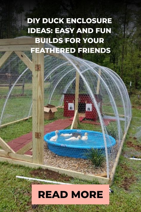 A homemade duck enclosure with a wooden frame and wire mesh, featuring a small pond and a red duck house amidst a grassy backyard. Runner Duck Enclosure, Goose Enclosure, Backyard Ducks Habitat, Duck Backyard, Easy Duck Coop, Diy Duck Enclosure Ideas, Diy Duck Run, Duck Pen Ideas, Diy Duck Enclosure