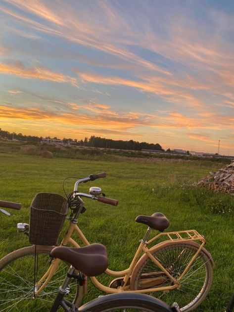 Bike Ride Aesthetic, Ride Aesthetic, Bike Aesthetic, Bike Ride, Bike, Orange