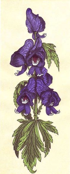 Wolfsbane Flor Tattoo, Plant Tattoo, Poisonous Plants, 1 Tattoo, Desenho Tattoo, Delphinium, Monster Art, Arte Floral, Scarlet Witch