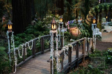 Sean Parker Wedding, Wedding Bridge, Forest Theme Wedding, Deco Champetre, Wedding Apps, Enchanted Forest Wedding, Wedding Expenses, Fantasy Wedding, Forest Wedding