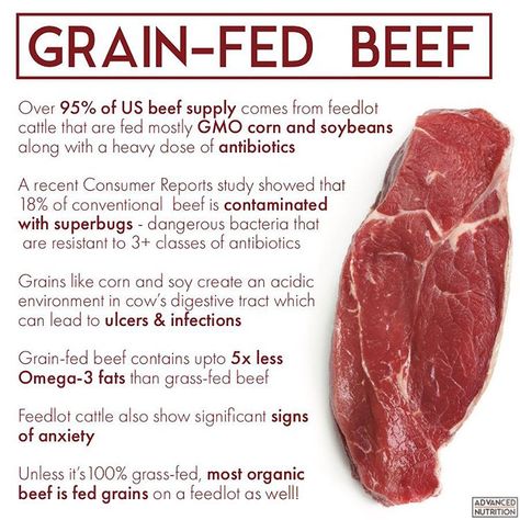 Gmo Corn, Lectin Free, Happy Gut, Raw Meat, Carnivore Diet, Grass Fed Beef, Easy Healthy Recipes, Make Sure, Nutrition