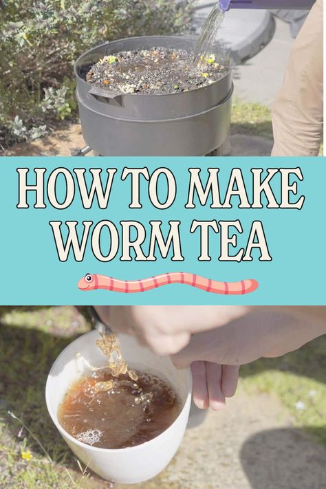 Worm bin being filled with water, worm tea filling into a bucket Diy Worm Farm, Vermicomposting Worm Farm, Compost Tea Recipe, Worm Castings Tea, Worm Tea, Worm Composting Bin, Worm Farming, Worm Castings, Worm Composting