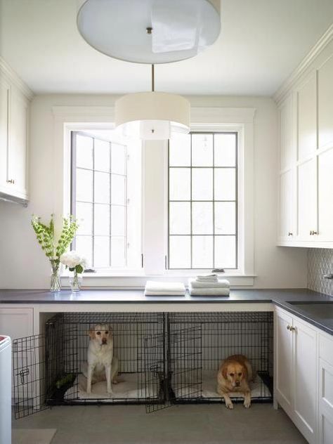 Home Décor, Kitchen Appliances, Dogs, Dog Bed, Laundry Room, The Kitchen, Fireplace, Bed, Home Decor