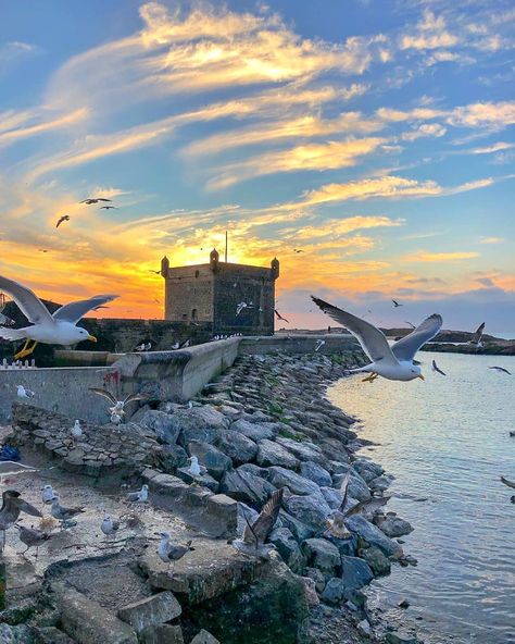 Ocean Castle, Morocco Essaouira, Morocco Tourism, Morocco Photography, Castle Beach, Morocco Itinerary, Morocco Aesthetic, Moroccan Aesthetic, Essaouira Morocco