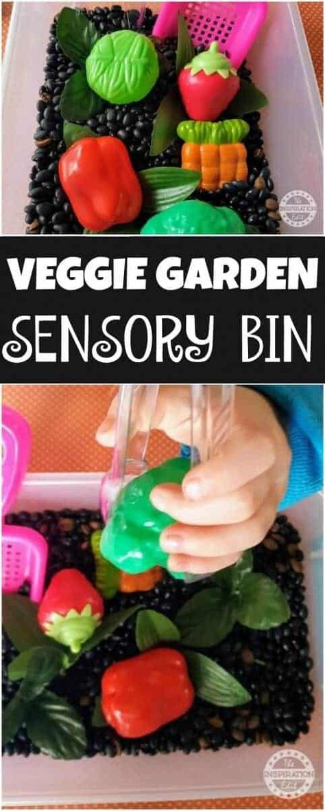 Garden Sensory Bin, Toddler Vegetables, Garden Sensory, Sensory Activities For Preschoolers, Garden Crafts For Kids, Preschool Sensory, Preschool Garden, Sensory Ideas, Garden Activities