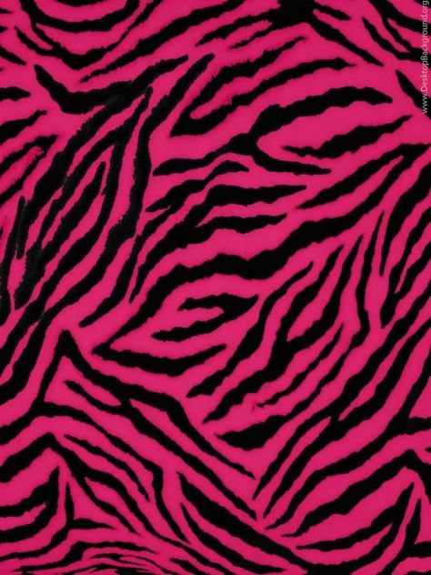 Pink Zebra Wallpaper, Pink Tiger Print, Pink Y2k Aesthetic, Zebra Print Wallpaper, Hot Pink Zebra Print, Zebra Wallpaper, Hot Pink Wallpaper, Zebra Rug, Hot Pink Zebra