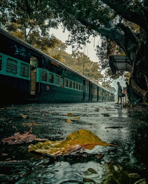 Indians Wandering on Instagram: “The journey through green tunnel! . . Nilambur-Shoranur line is a 66 km single line broad gauge railway line built by the British in the…” Green Tunnel, Awsome Pictures, Railway Line, Village Photos, Indian Railways, Cute Backgrounds For Phones, Alone Photography, Train Pictures, Single Line