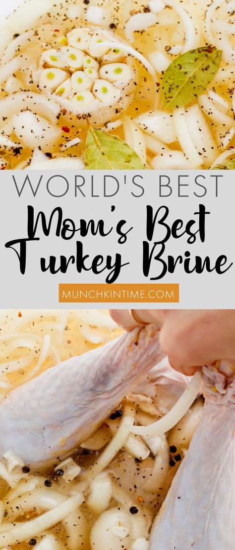 Cider Turkey Brine, Apple Cider Turkey Brine, Apple Cider Turkey, The Best Turkey Gravy, Smoked Turkey Brine, Best Turkey Brine, Easy Turkey Brine, Turkey Brine Recipe, Best Turkey Gravy