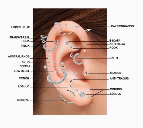 Ear Piercings Placement Chart, Ear Piercing Names, Ear Peircings, Ear Piercings Chart, Piercing Chart, Types Of Ear Piercings, Facial Piercings, Tattoos And Piercings, Glow Up?