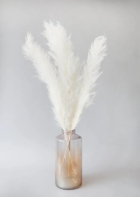 Bleached White Fluffy Pampas | Shop Dried Grasses at Afloral.com Boho Home Decor Ideas, Natural Bouquet, Terra Cotta Clay Pots, Floor Vases, Billy Buttons, Pampas Grass Decor, Grass Decor, Sunny Window, Beige Bedroom