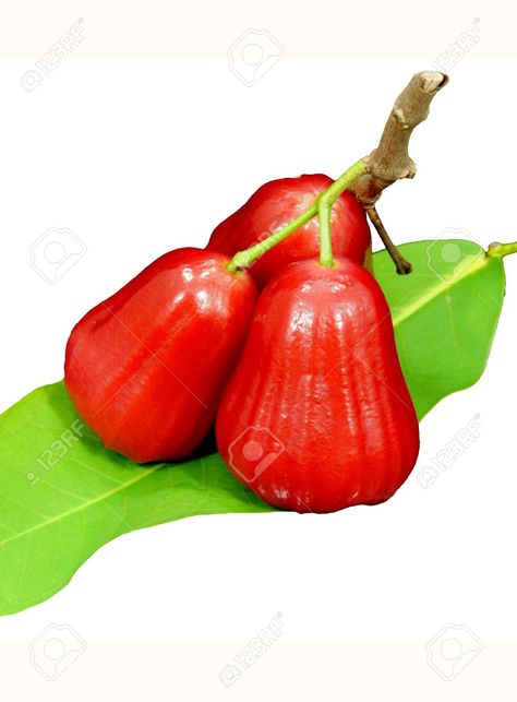 Rose Apple Fruit, Apple Roses, Apple Fruit, White Background, Stock Photos, Fruit, Stuffed Peppers