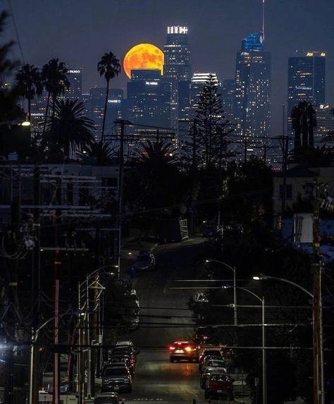 Pin by lexii<3 on life in the city. in 2022 | Los angeles at night, Los angeles aesthetic, Night city Simp For Her, Aesthetic City View, Los Angeles At Night, Angeles Aesthetic, Los Angeles Wallpaper, City View Night, Los Angeles Aesthetic, City Los Angeles, Life In The City