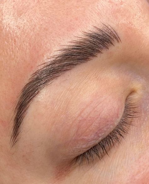 Professional Microblading | Courses on Instagram: “Would you travel to see your favorite artist to get your dream brows? Have you already? Was it everything you hoped it would be? Let me…” Microblading Eyebrows Shape Natural, Fluffy Microbladed Brows, Microblading Eyebrows Healing Process, Nano Eyebrows, Small Eyebrows, Microblade Eyebrows, Brow Microblading, Microbladed Eyebrows, Lashes Styles