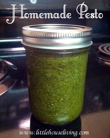 Homemade Pesto and how to preserve it #canning #preserving #pesto - Put a dollop on top of olive oil, sprinkle with parmesan & serve with crusty bread... Yum!