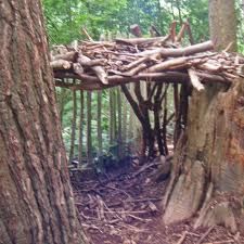 Woods Hangout Spot, Rustic Outdoor Structures, Therian Den, Forest Fort, Den Building, Outdoor Forts, Backyard Fort, Survival Skills Emergency Preparedness, Bushcraft Shelter