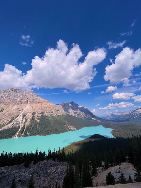 #mountains #peytolake #peyto #lake #alberta #canada #albertcanada #banff #banffnationalpark #nature #hiking #pretty #wilderness #scenic #roadtrip Albert Canada, Peyto Lake, Nature Hiking, Banff National Park, Alberta Canada, Road Trip, Hiking, Lake, Nature