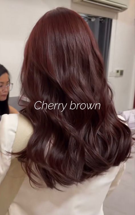 Hot Dyed Hair Ideas, Brown To Amber Hair, Auburn Hair Color Cool Skin, Rustic Brown Hair Color, Hair Color For Chinese Women, Black Hair Brown Undertones, Ashley Brown Hair, Hair Colors That Grow Out Well, Red Brown Shag Hair