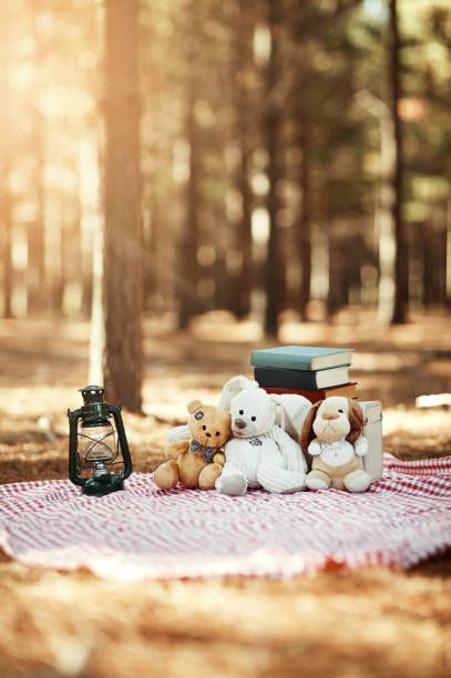 Teddy Bear Birthday Theme, Teddy Bear Picnic Birthday Party, Picnic Photo Shoot, Picnic Photography, Corel Draw Design, Picnic Birthday Party, Toddler Photoshoot, Bear Picnic, Picnic Theme