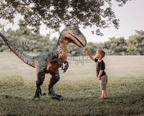 3rd Birthday Pictures, Boy Birthday Pictures, Teddy Pictures, Dinosaur Birthday Party Decorations, Dinosaur Photo, Dinosaur Themed Birthday Party, Dinosaur Images, Dinosaur Pictures, Park Pictures