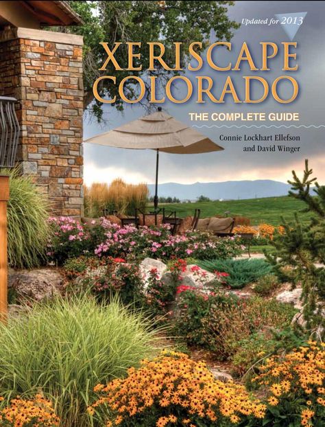 Xeriscape Colorado, Colorado Landscaping, Colorado Gardening, Xeriscape Plants, Xeriscape Front Yard, Xeriscape Landscaping, Colorado Landscape, Landscaping Inspiration, Garden Landscape Design