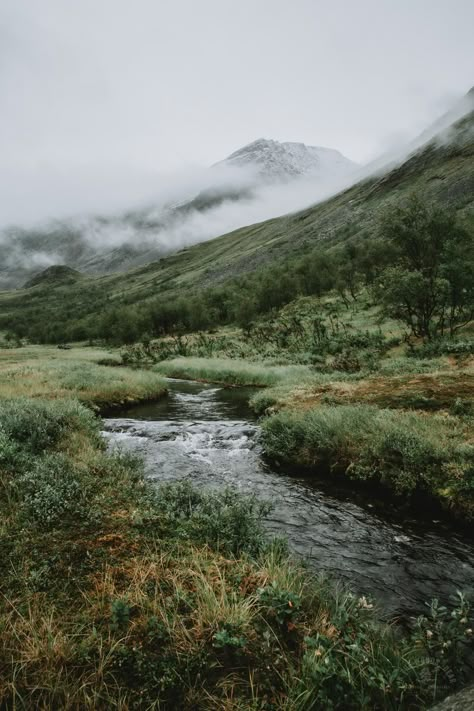 Backpacking in Swedish Lapland: Vistas Valley - In the Woods, Dear Swedish Forest Aesthetic, North Europe Aesthetic, Scandinavian Nature Aesthetic, Sweden Mountains, Lapland Aesthetic, Swedish Mountains, Nordic Vibes, Swedish Landscape, Swedish Aesthetic