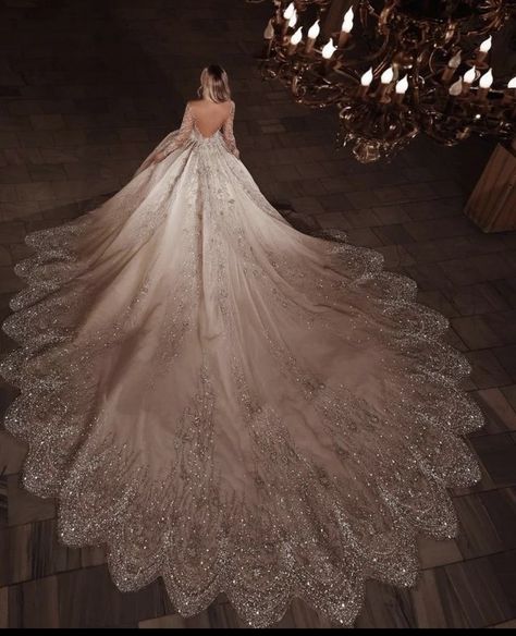 Backless Wedding Dresses, Queen Wedding Dress, Big Wedding Dresses, Extravagant Wedding, Pretty Wedding Dresses, Fancy Wedding Dresses, Womens Wedding Dresses, Princess Ball Gowns, Backless Wedding