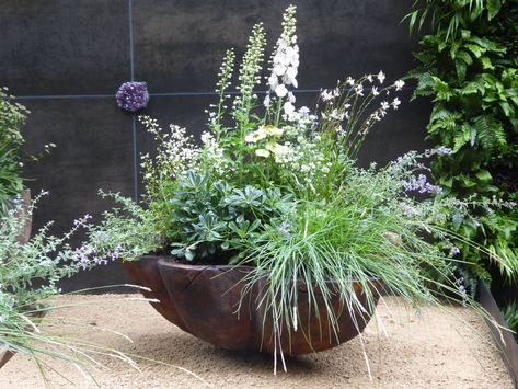 Container Gardening at the Chelsea Flower Show: A Tiny Garden with a Big Message - Gardenista Garden Bowl Planter, Container Garden Aesthetic, English Cottage Container Garden, Cottage Garden Pots & Planters, English Garden Pots & Planters, Potted Gardens, Fenced Garden, Potted Garden, Balcony Gardening