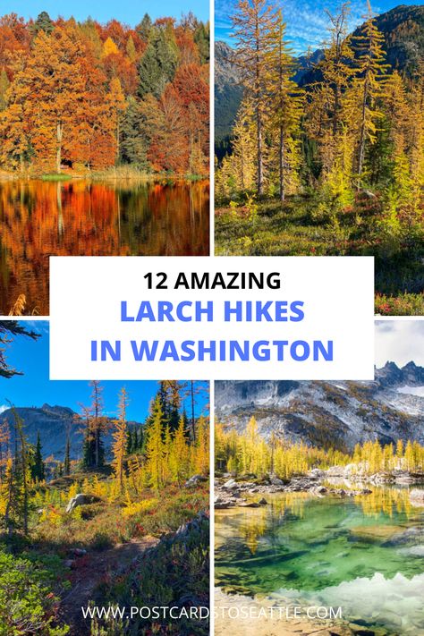 Pnw Hikes, Washington Fall, Washington Adventures, Pnw Hiking, Washington State Hikes, Fall Hikes, Washington State Travel, Washington Hikes, Wa State