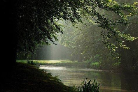 Magical Pond, Water Scenery, All The Bright Places, Frog Prince, Green Theme, Dreamy Room, Pretty Stuff, Sun Rays, Nature Aesthetic