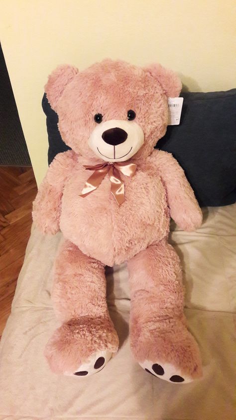 Teddy Bear Snapchat Stories, Teddy Bear Snapchat, Teddy Bear Snap, Bear Selfie, From Me To Me, Cute Teddy Bear Pics, Me To Me, Teddy Girl, Big Teddy Bear