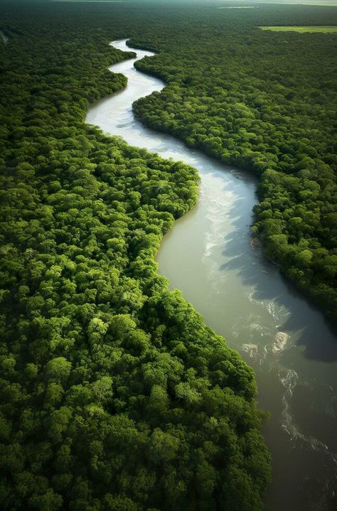 Aerial view of the Amazonas jungle landscape with river bend. Generative AI River Aerial View, Amazon River Aesthetic, Jungle Landscape Photography, Landscape With River, Jungle River, Jungle Landscape, River View, River Landscape, Amazon River