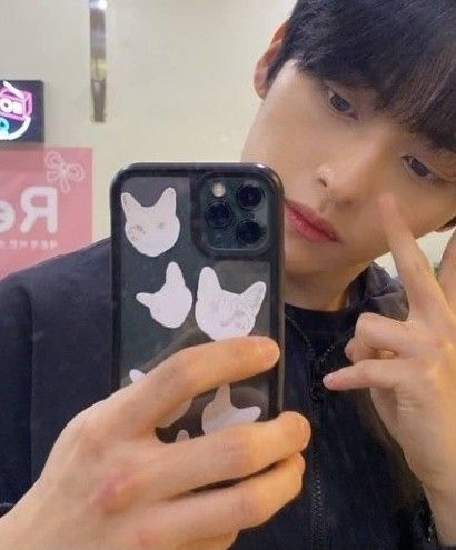 Lee Know Phone Case, Kpop People, Lee Minho, Lee Know, Boyfriend Material, Stray Kids, Phone Case, Phone Cases, Mirror