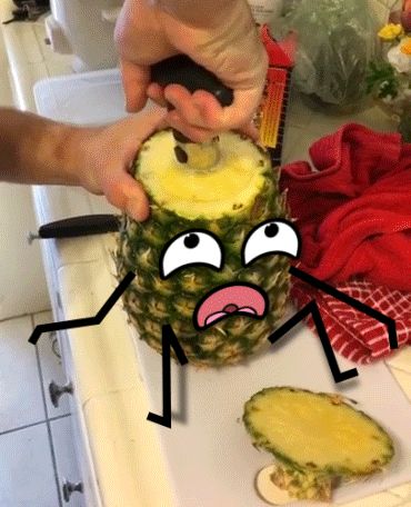 Pineapple Gif, Whatsapp Funny Pictures, Funny Fruits, Funny Vegetables, Robin Redbreast, Funny Fruit, Random Gif, Gif Animated, Pink Pineapple