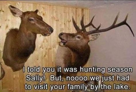 Funny Hunting Memes Hilarious, Hunting Season Humor, Funny Deer Pictures, Funny Hunting Pics, Hunting Quotes Funny, Goofy Quotes, Hunting Jokes, Funny Country, Funny Deer