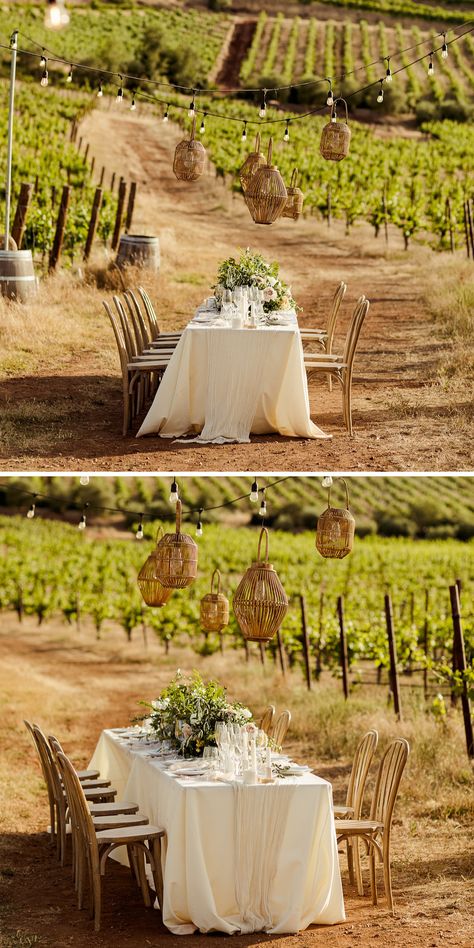 Boho Italy Wedding This Tuscany, Italy destination wedding so stunning with their gorgeous vineyard reception and winery wedding location. Photography by Marisa Ruth Photography. Discover vineyard wedding table decor, vineyard wedding reception ideas, italy wedding elopement, italy wedding aesthetic, winery wedding ideas. Book Hometown Gatherings for your wedding or elopement planning at hometowngatherings.com Vintage Winery Aesthetic, Winery Aesthetics, Vineyard Reception, Winery Dinner, Vineyard Picnic, Vineyard Wedding Centerpieces, Italy Wedding Aesthetic, Elopement Italy, Vineyard Dinner