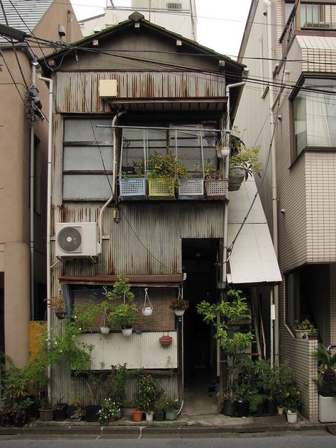 the Tokyo Potted Gardens 472 by TsuyaTsuya Nemury, via Flickr Japanese Architecture, Tokyo Dome, Japanese Buildings, Fotografi Urban, Building Aesthetic, Fotografi Kota, Japan Street, Japan Aesthetic, Aesthetic Japan