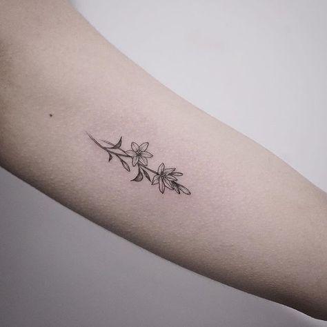 .Asphodel🌸 Small Lily Tattoo, Edelweiss Tattoo, Small Flower Tattoos For Women, Lilly Flower Tattoo, Jasmine Tattoo, Lillies Tattoo, Lily Tattoo Design, Lily Flower Tattoos, Daffodil Tattoo