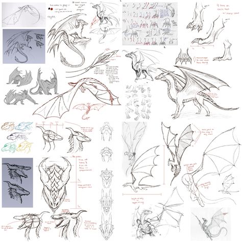 Anatomy Of Dragon, Dragon Anatomy Drawing Reference, Fantasy Drawing Tutorial, Dragon Wings Anatomy, Dragon Wing Anatomy, Dragon Mouth Drawing, Dragon Proportions, Dragon Study Drawing, Dragon Claw Reference