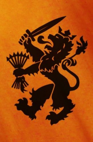 The Dutch lion is one of the symbols we use since the middle ages. It was for example on coats of arms. Nowadays we still use the lion. It's in the logo of the government, but also on the team shirts of the national football team. Dutch Tattoo, Crest Tattoo, Logo Development, Lion Tattoos, Dutch People, Coats Of Arms, Dutch Girl, Netherlands Travel, National Football Teams