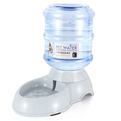 Cat Water Bowl, Dog Water Dispenser, Drinking Fountains, Dog Water Bowls, Water Dispensers, Drinking Fountain, Dog Products, Cat Animal, Medium Sized Dogs