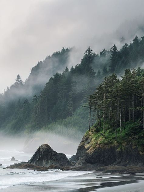 Amazing Vibe - Olympic National Park, Washington 🇺🇲 Olympia National Park Washington, Washington State Photography, Olympia National Park, Pnw Trip, Olympic National Park Washington, Olympia Washington, National Parks Photography, Senior Trip, Olympic National Park