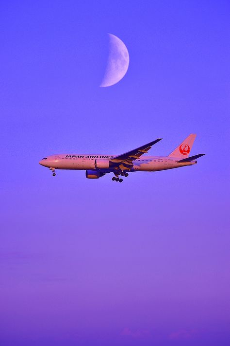 2014 JAPAN AIRLINES Pretty Wallpaper Ipad, Japan Airlines, Boeing 787 Dreamliner, Hd Wallpaper 4k, Passenger Aircraft, Boeing 787, Aviation Photography, Instagram Funny, Ipad Wallpaper