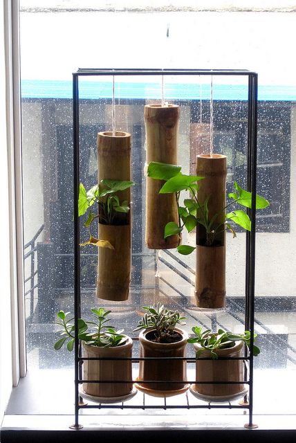 Office garden makeover 23 - totally, totally love the bamboo planters and ceramic bamboo-coloured ones Bamboo Pots Planters, Bamboo Planters, Bamboo Candle Holder, Bamboo Diy, Creative Planter, Bamboo Wind Chimes, Bamboo Planter, Bamboo Decor, Bamboo Light