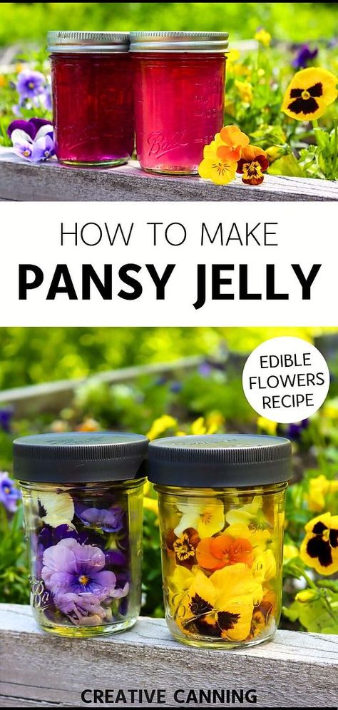 Learn how to make pansy jelly, a standout in our edible flowers recipes. This recipe guides you through using both garden pansies and wild violets to create a light, spring floral jelly that's perfect for brightening up your breakfast table. Dive into more canning jelly recipes & homemade jelly and homemade jelly recipes at creativecanning.com Jam Jelly Recipes, Pinecone Jelly, Canned Jelly Recipes, Lilac Jelly Recipe, Peony Jelly Recipes, Unique Jelly Recipes, Peony Recipes, Canning Jelly Recipes, Canning Jelly