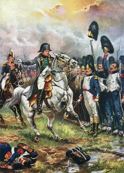 Napoleon French, Duke Of Wellington, Waterloo 1815, Battle Of Waterloo, Napoleon Bonaparte, French History, History Images, Ancient Egyptian Art, French Army