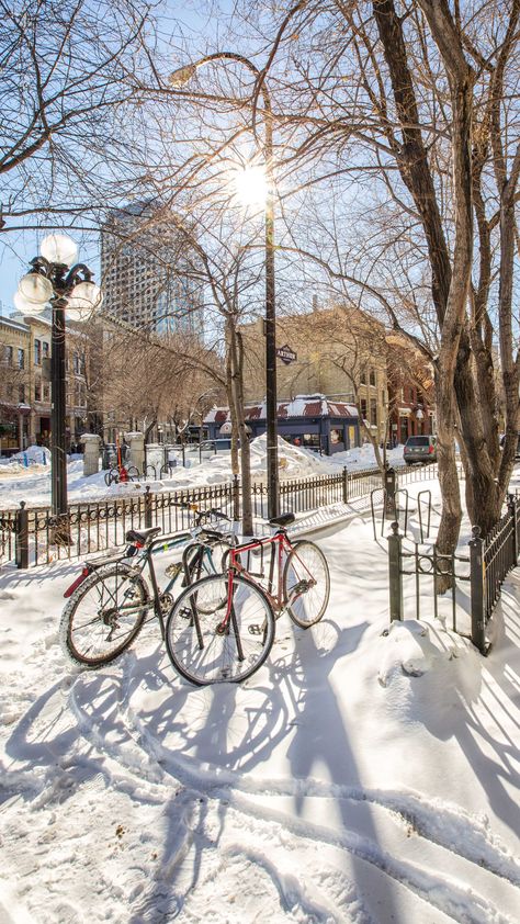 Sunshine and bicycles in my sweet city, Winnipeg! Image by Carla Dyck Plot Inspiration, Uni Lifestyle, Pure Evil, Manitoba Canada, Winnipeg Manitoba, Take Me Home, Art References, City Streets, City Life